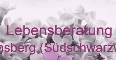 Lebensberatung Dachsberg (Südschwarzwald) | Top-Experten für Kartenlegen, Wahrsagen, Hellsehen, Zukunftsdeutung.